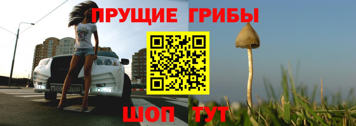 Псилоцибиновые грибы GOLDEN TEACHER Королёв